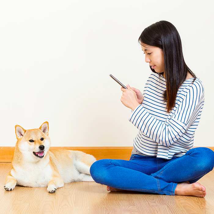 Cool Pet Care Apps For Dog Lovers And Owners