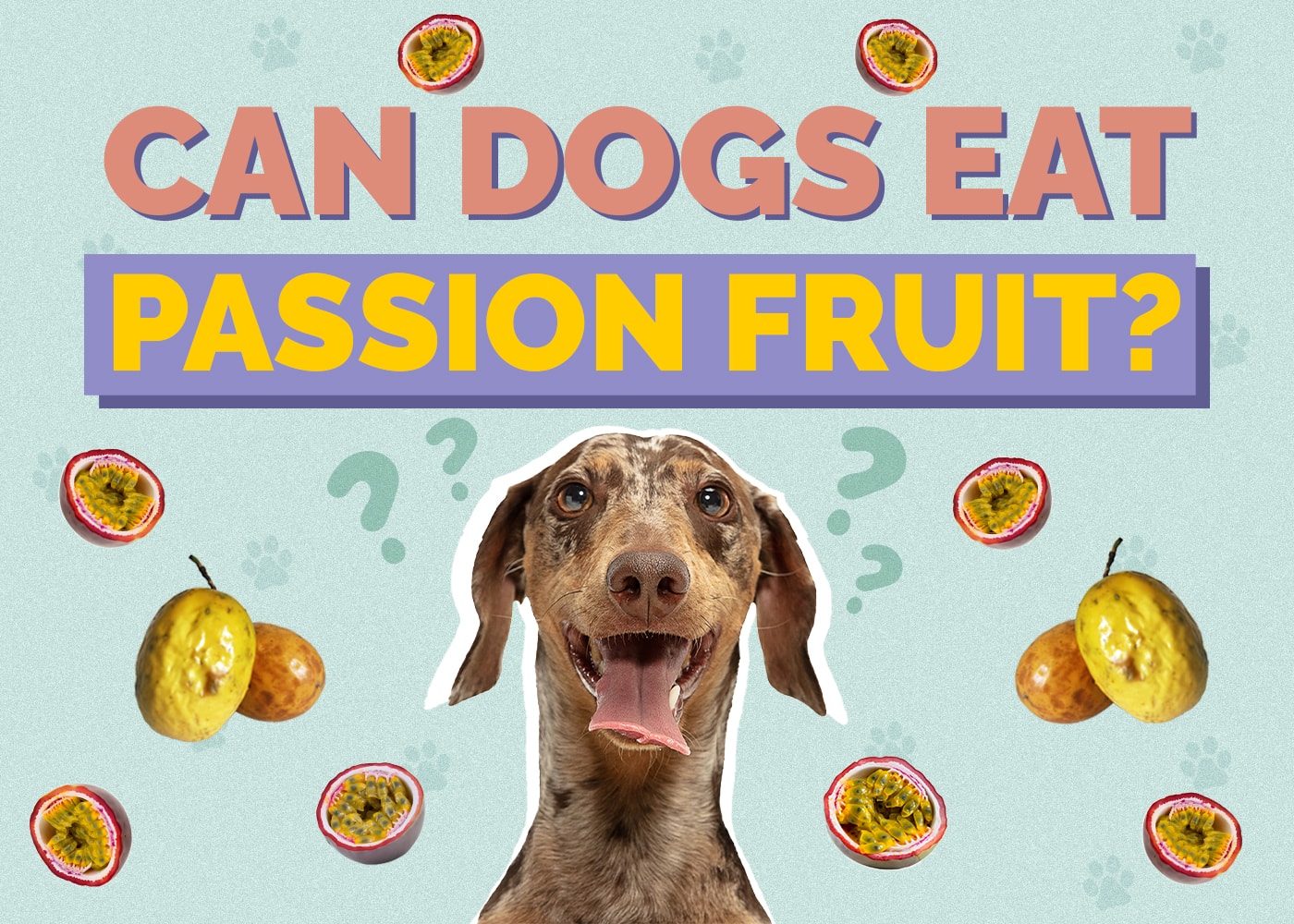 Can Dogs Eat Passion Fruit