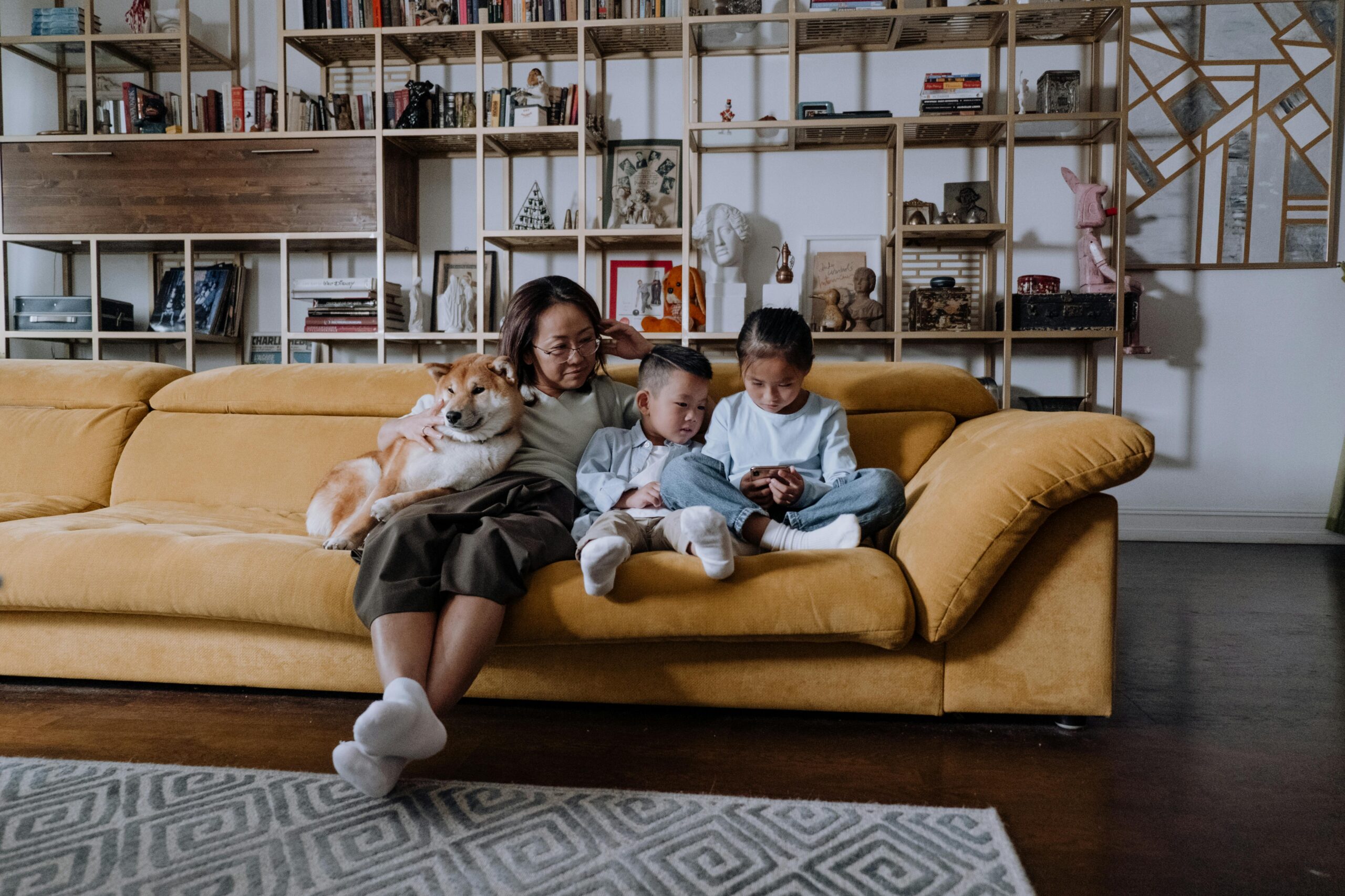What Happens If My Dog Is Pregnant By Her Brother? What You Must Know